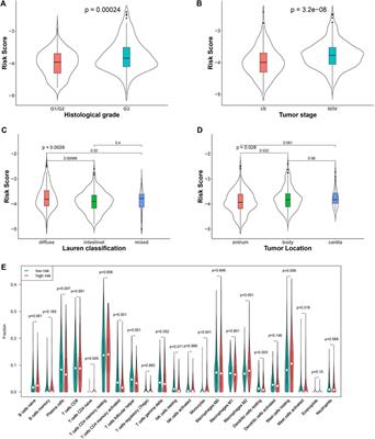 Development and Validation of a Prognostic Classifier Based on Lipid Metabolism–Related Genes in Gastric Cancer